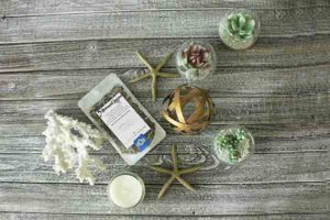 How to Create a Custom Mermaid Tea Blend | Fin Fun Blog