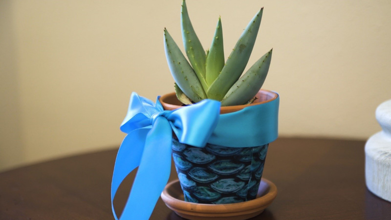 a finished flower pot covered with an upcycled mermaid tail