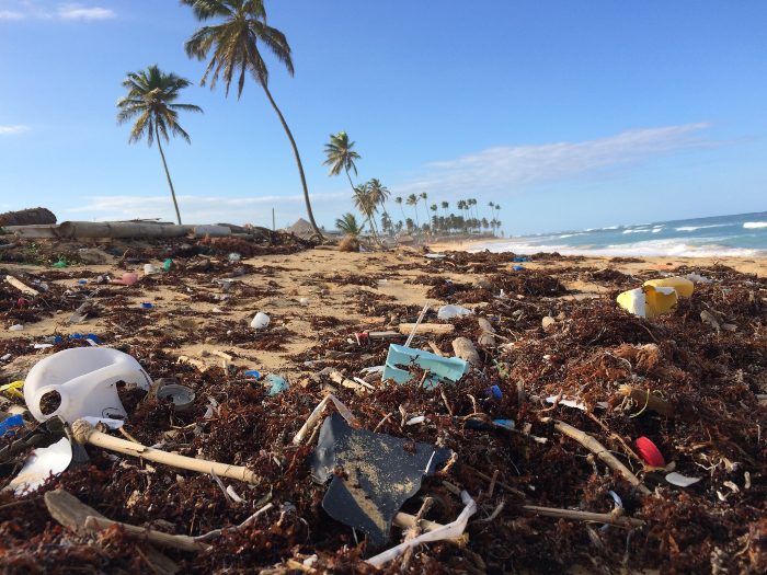 a beach littered with washed up plastic and trash