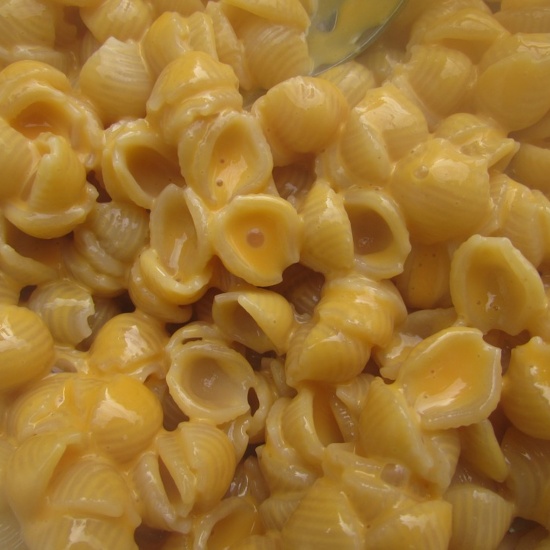 a close up shot of shells and cheese, the perfect mermaid dinner recipe for picky eaters!