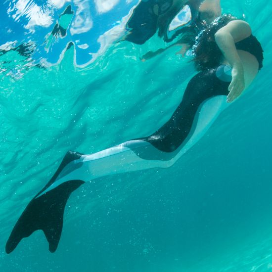 A girl swims underwater in the Orca Limited Edition mermaid tail by Fin Fun.